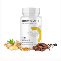 (image for) Joint Genesis